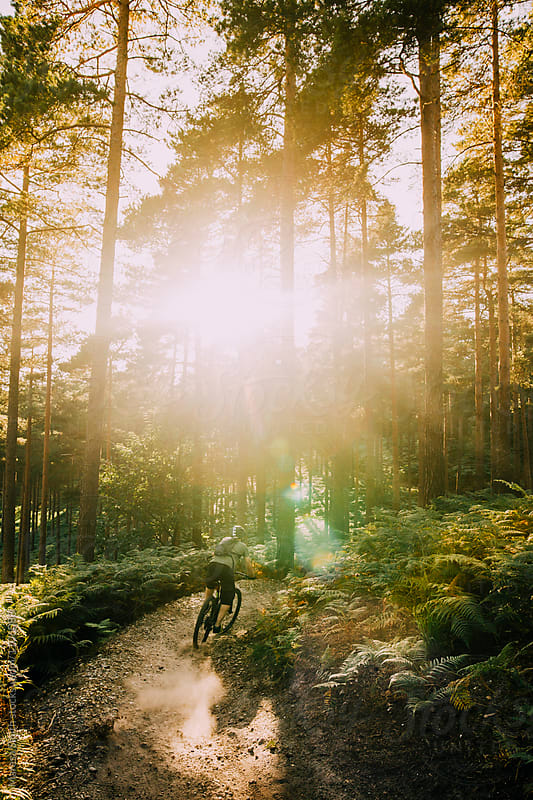 A man cycling towards the sunlight on a bern on a forest trail in UK