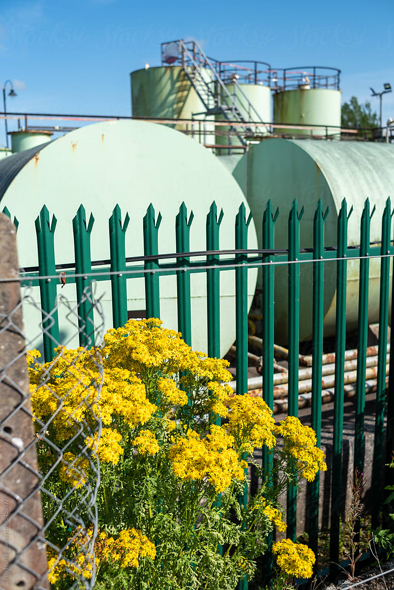 Factory with yellow flowers and blue sky