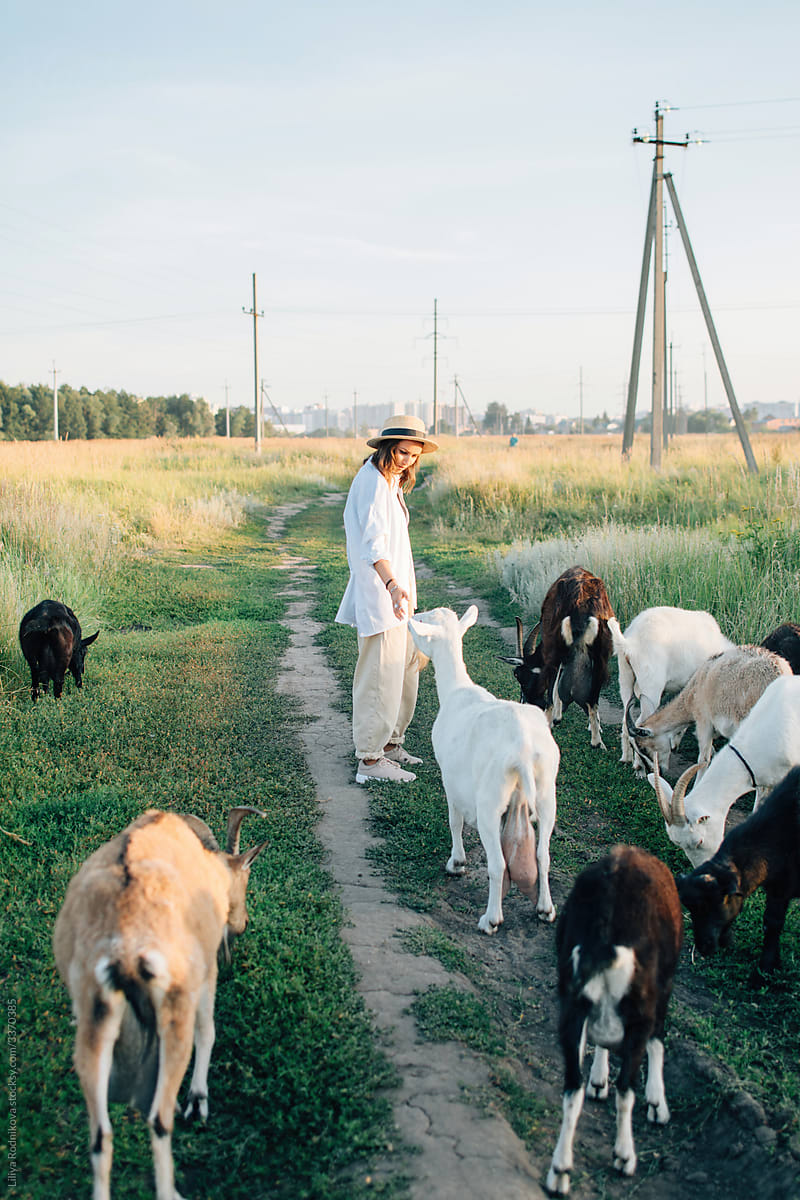 stylish woman meet goats in countryside