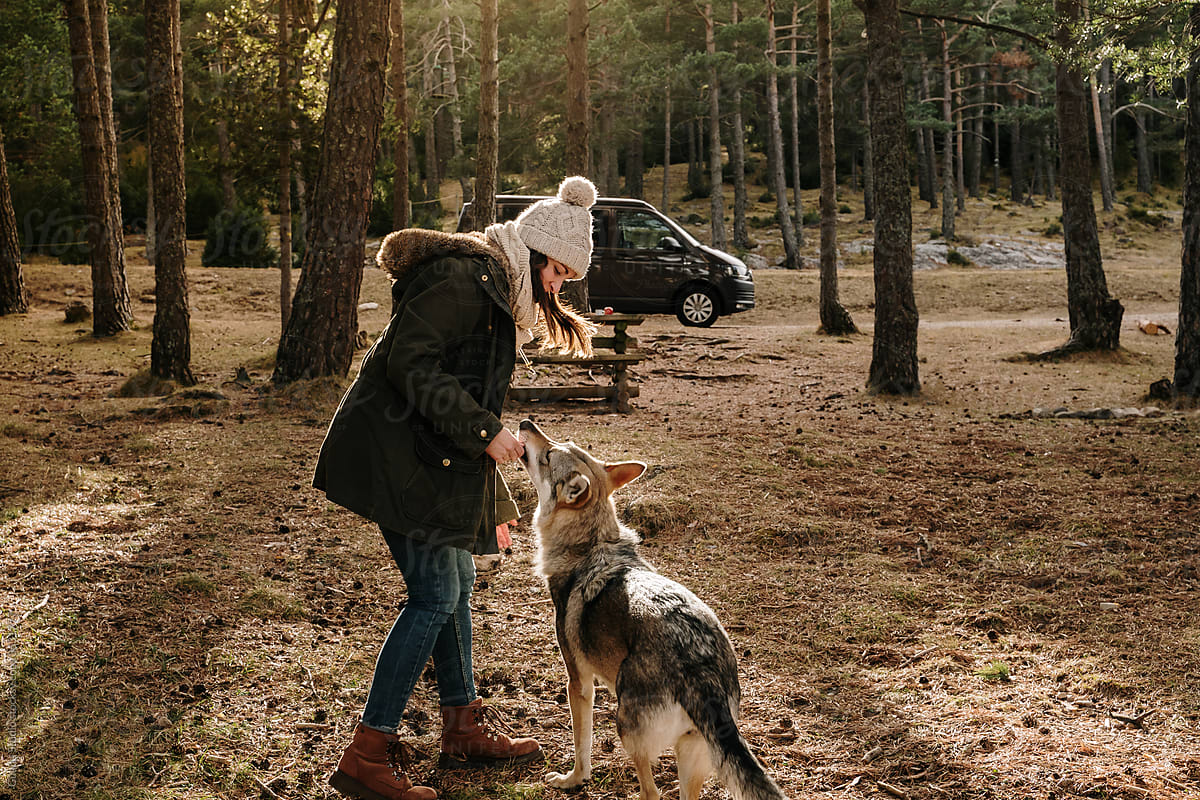 Woman  playing with wolf dog in the forest