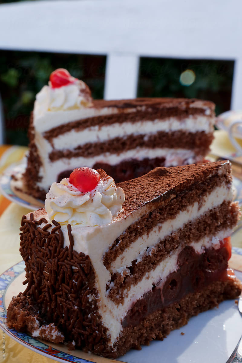 Piece of chocolate cake with whipped cream