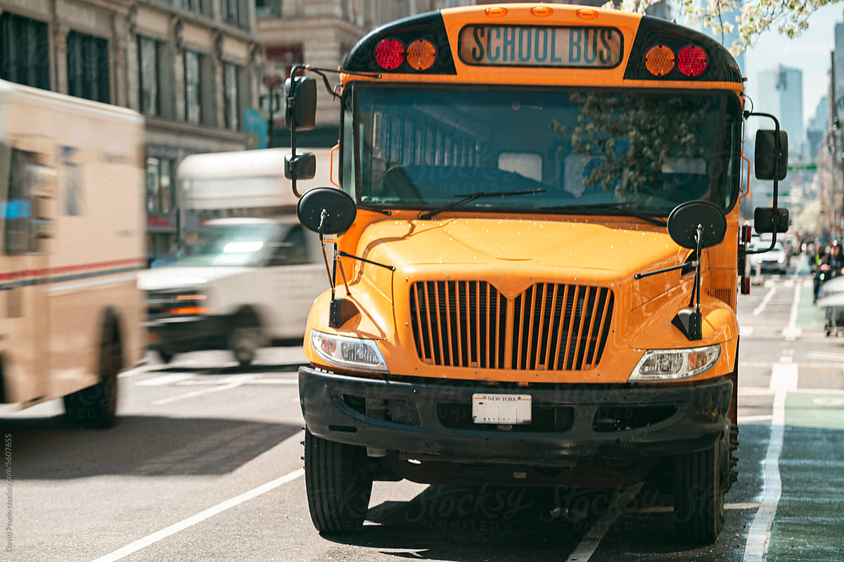 School bus on asphalt road