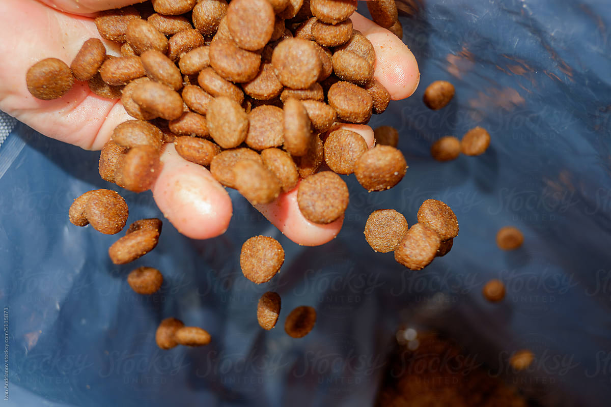 Round Pellets Of Dry Dog Food