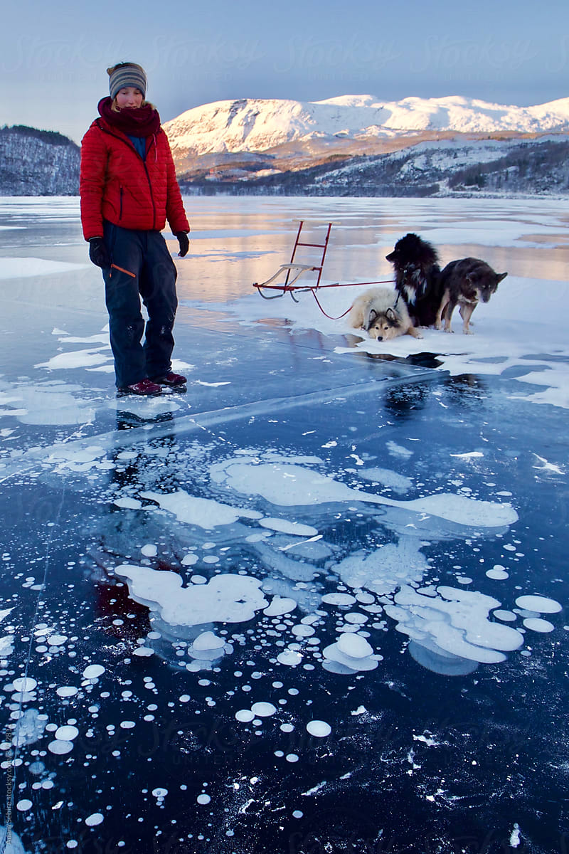 Methane bubbles frozen in Arctic lake ice - sledge dogs