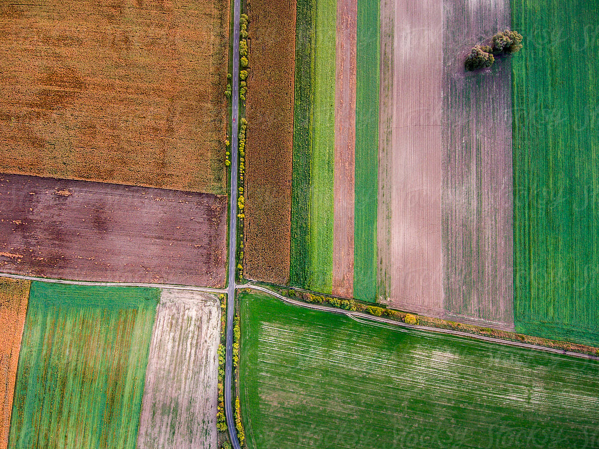 aerial view of agricultural land
