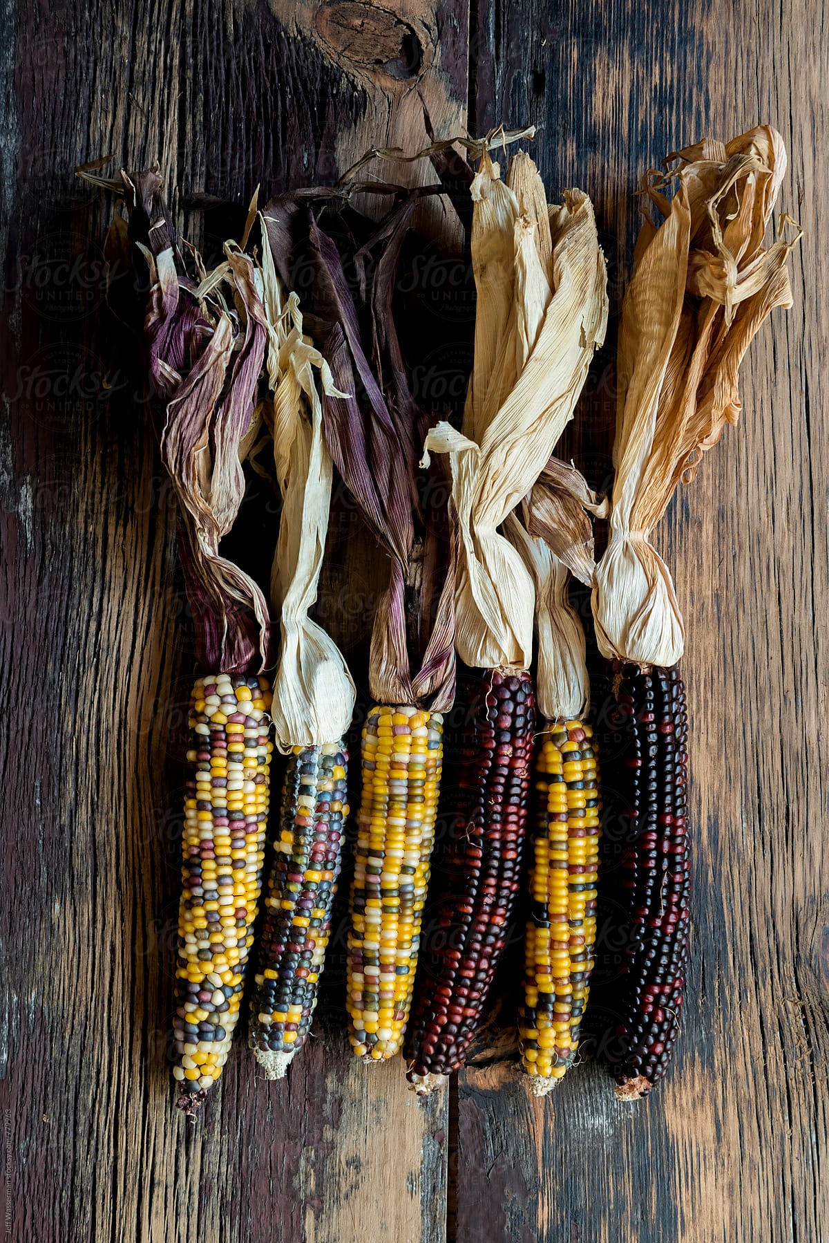 Dried Corn on Wood