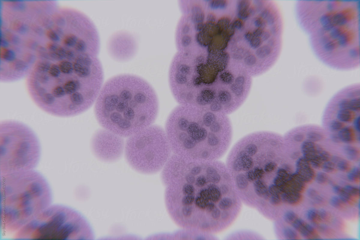 3D render of cells and biological tissues
