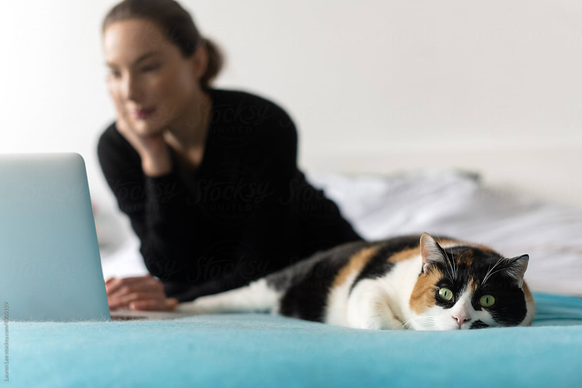 Woman looking at laptop on bed with cat