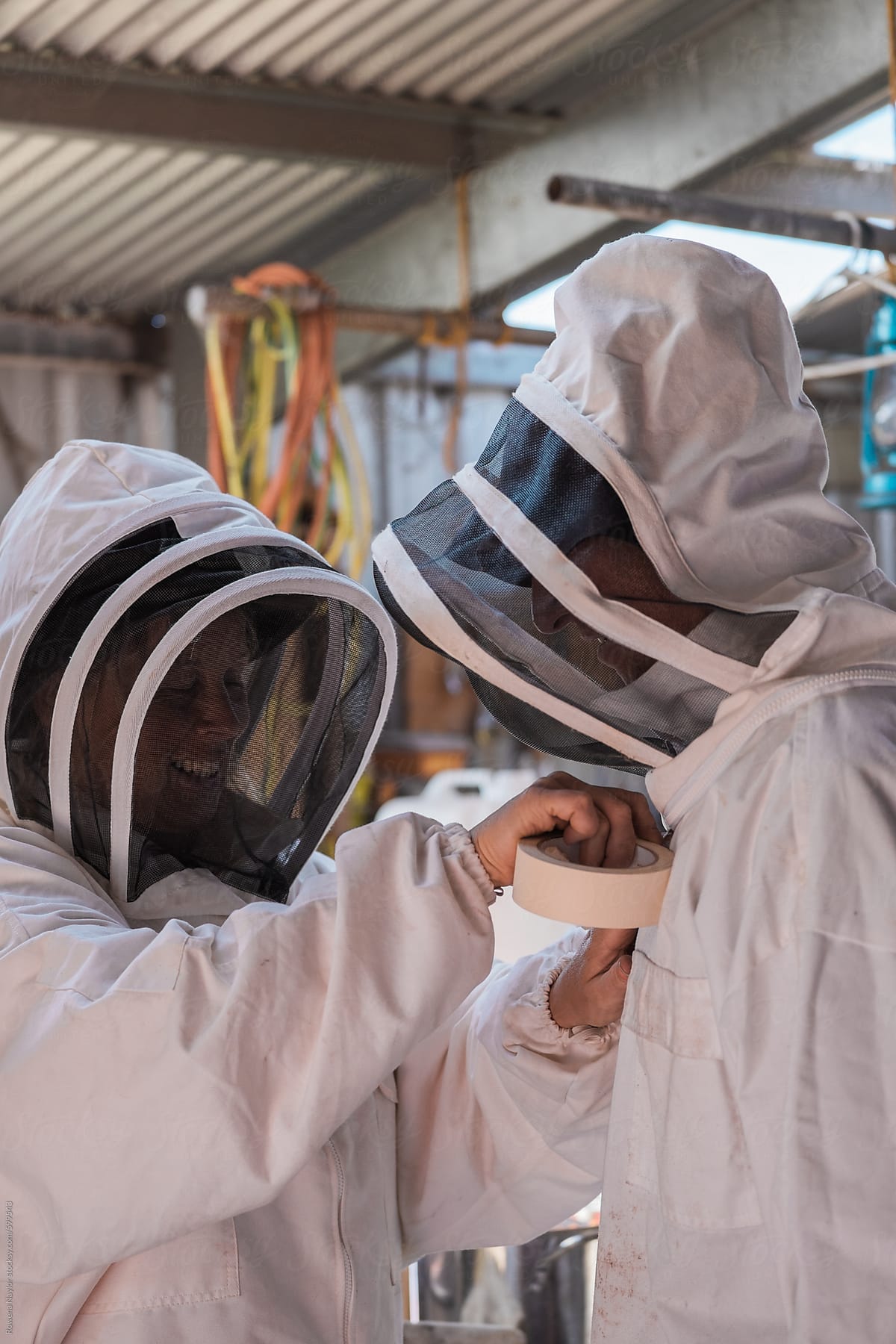 Two Bee Keepers preparing to harvest honey from Bee hives