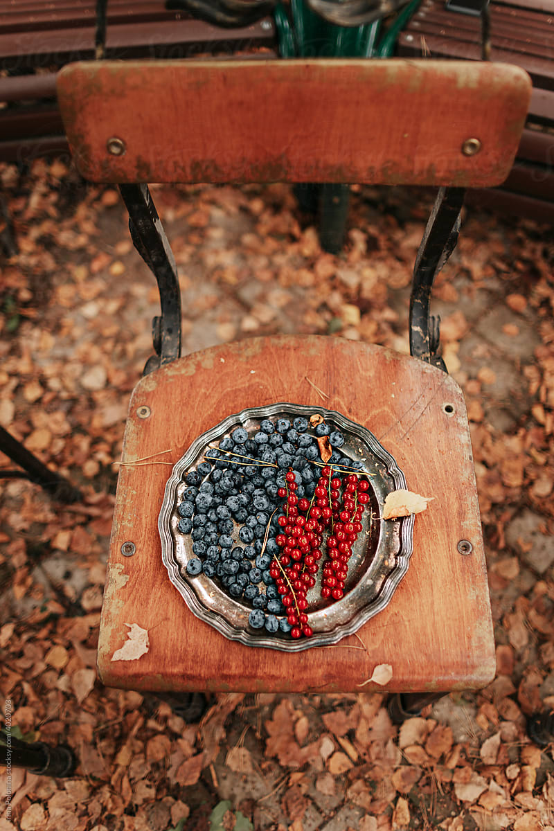Berries on a plate in the autumn garden.