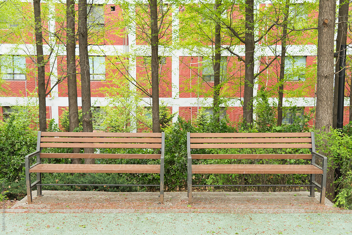 Two of benches in park