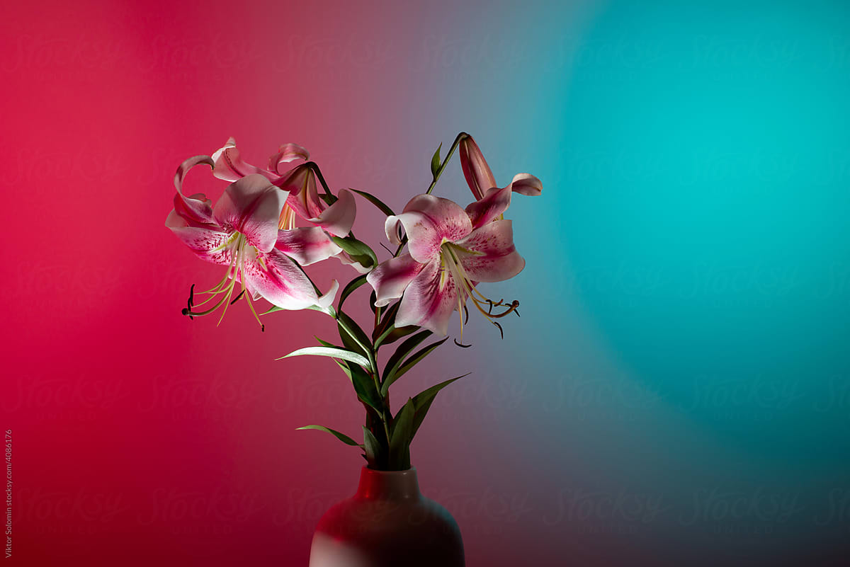 Elegant Japanese lilies bouquet in vase