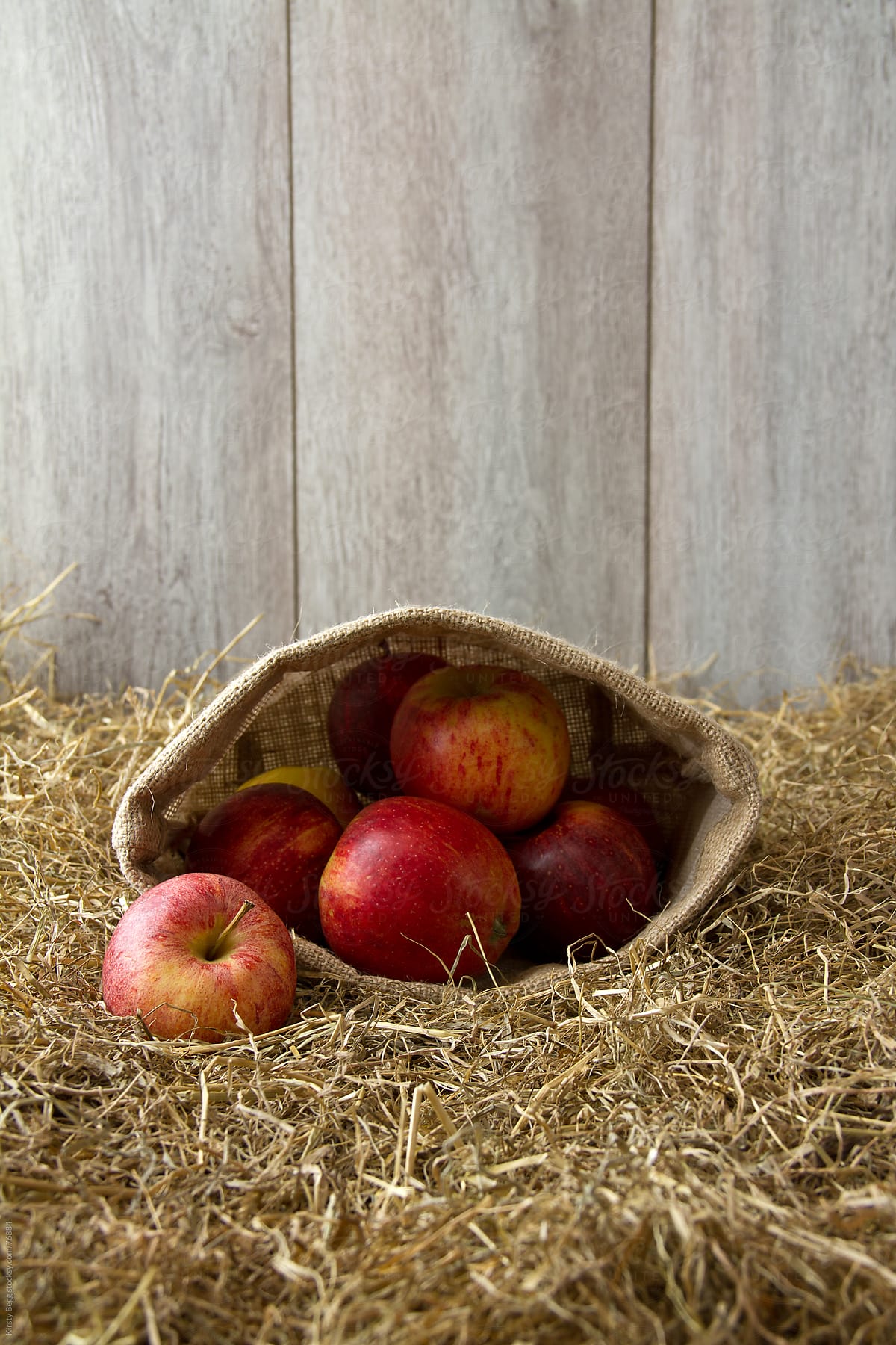 Apples in sack on hay