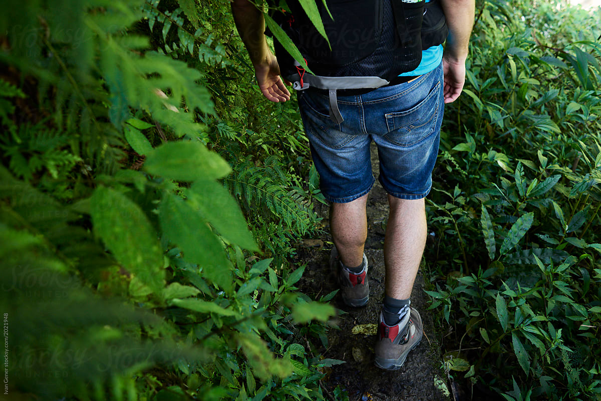 Male trekking through the jungle