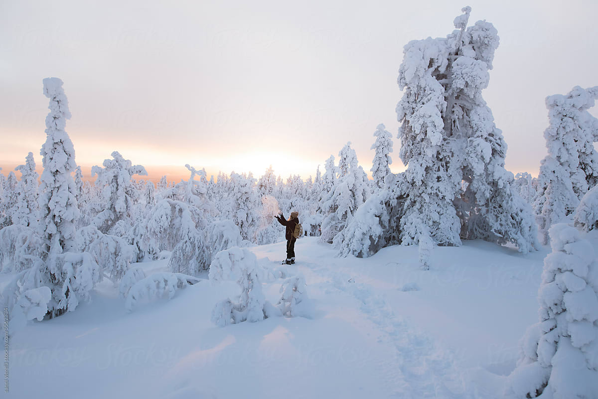 Snowshoeing adventure in winter wonderland in Finnish Lapland