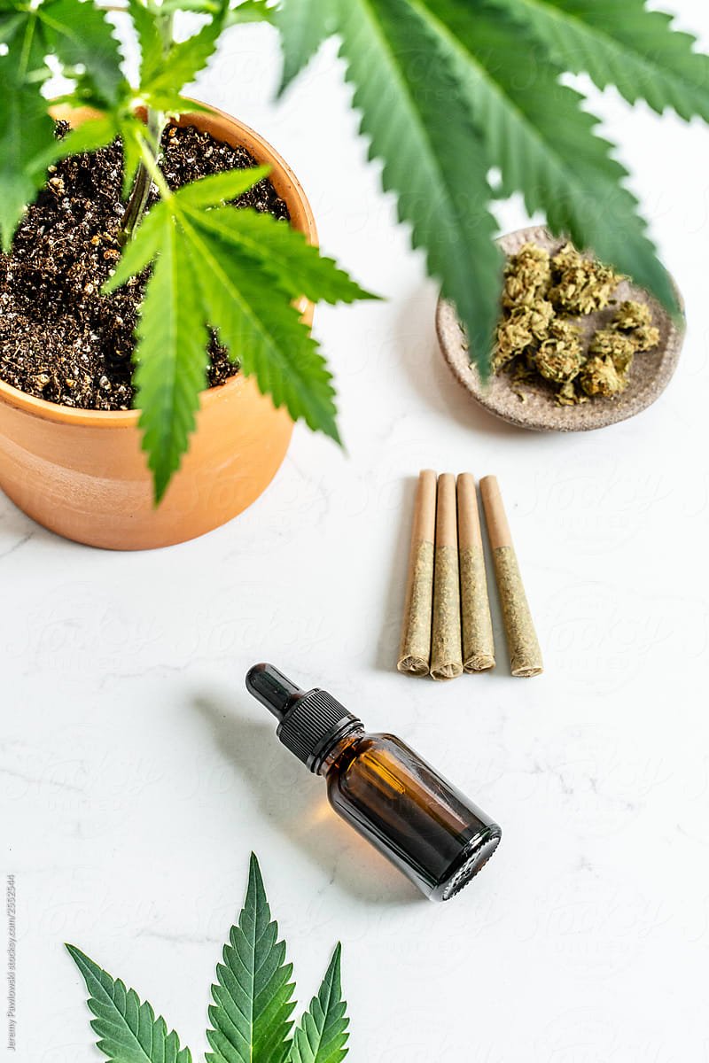 CBD Oil, Pre-Rolled Joints, Weed, and Marijuana