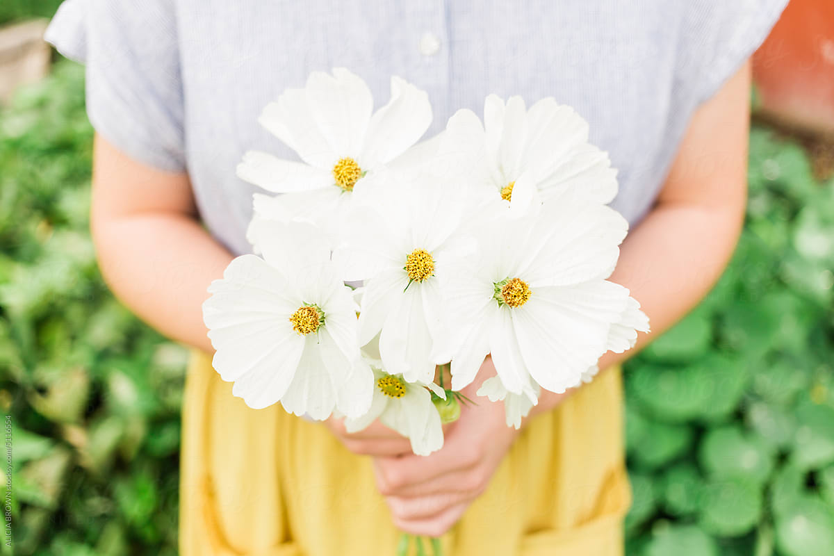 A Handful Of Cosmos