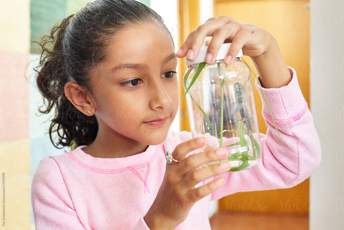 Children's science: girl with grasshopper