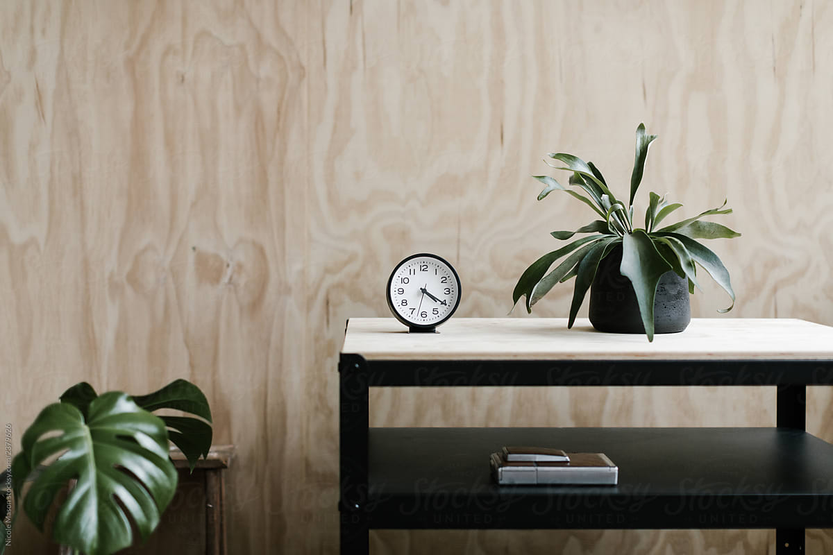 utility cart with plant and analog clock against plywood backdrop wall