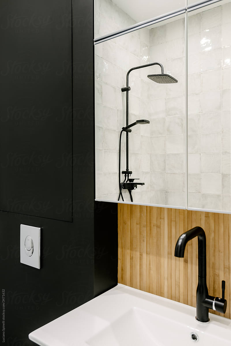 Toilet with Italian style shower, black wall and white sink