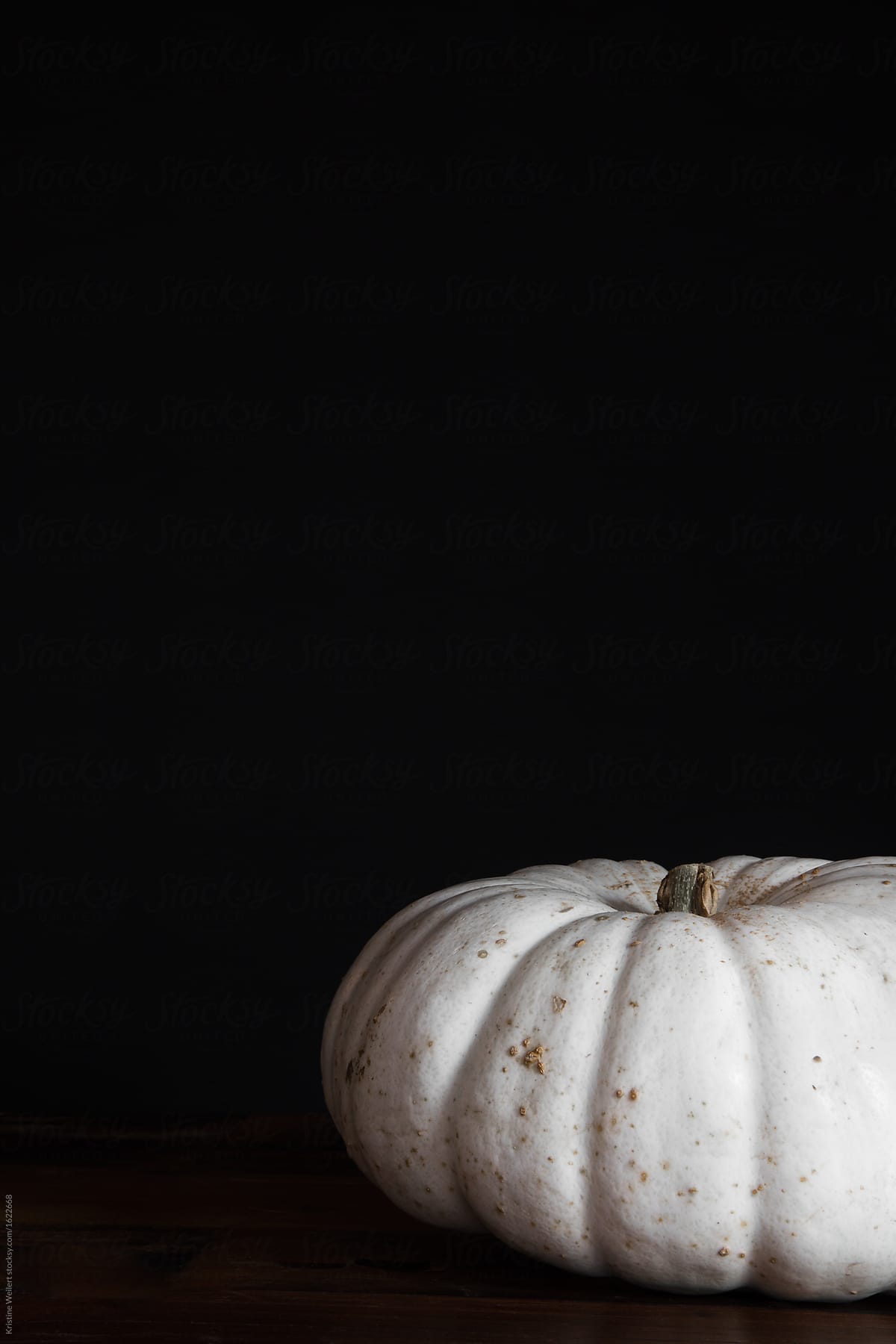 White pumpkin on dark background