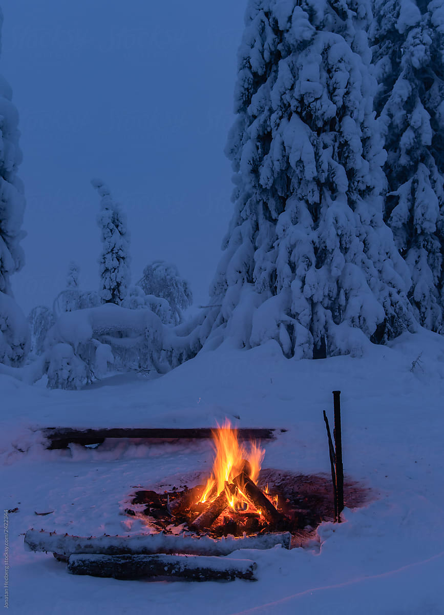 A bonfire in the winter night