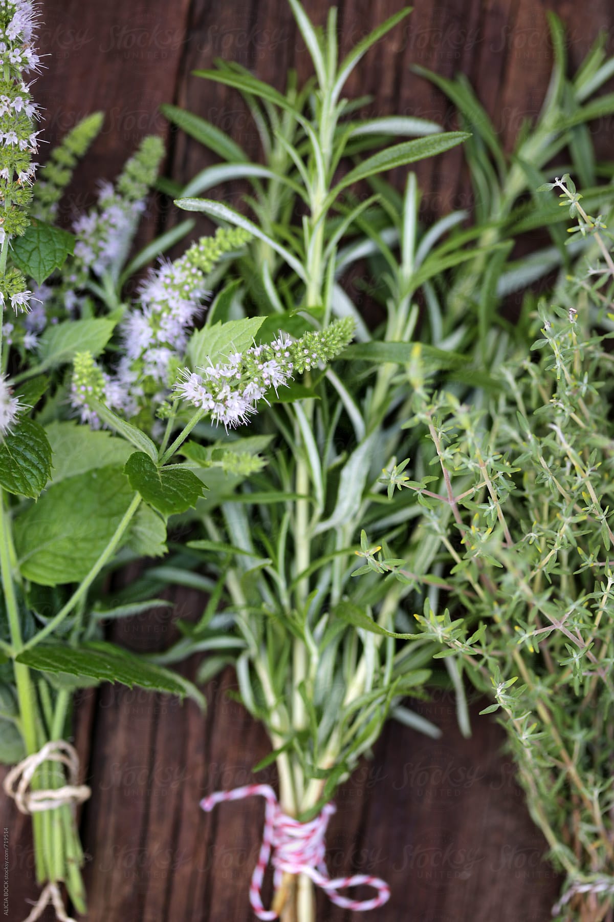 Bundles Of Fresh Herbs: Rosemary, Mint And Thyme