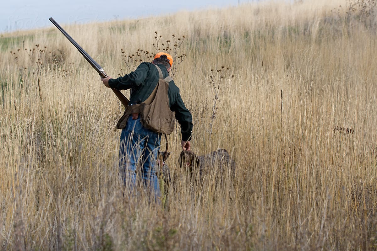 A hunter bends down to pet his bird dogs