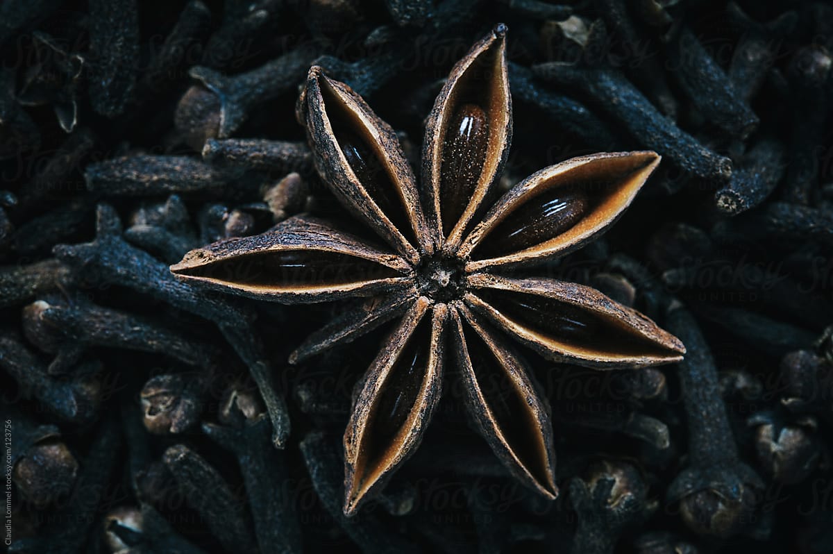 Christmas Spices, A single Star Anise on a Bed of Cloves