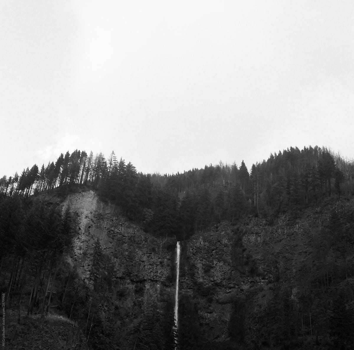 Oregon Waterfall in Black and White