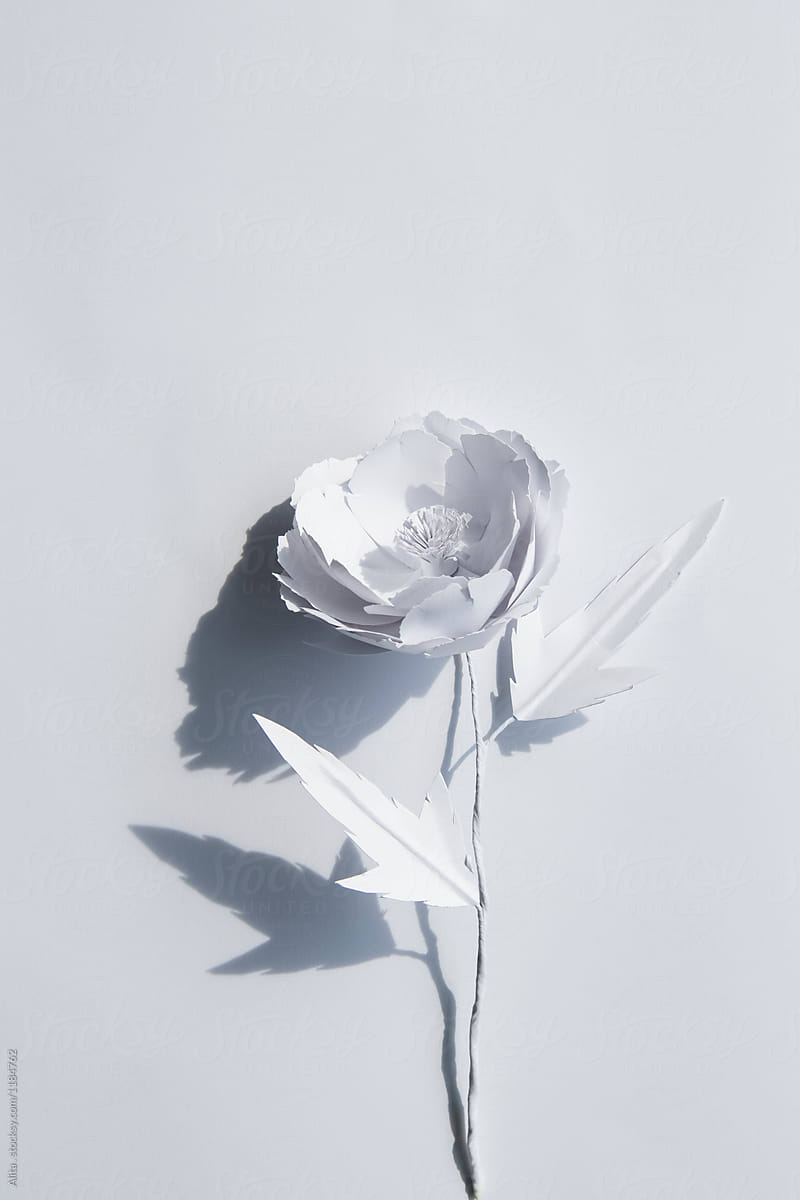 White paper flower on white