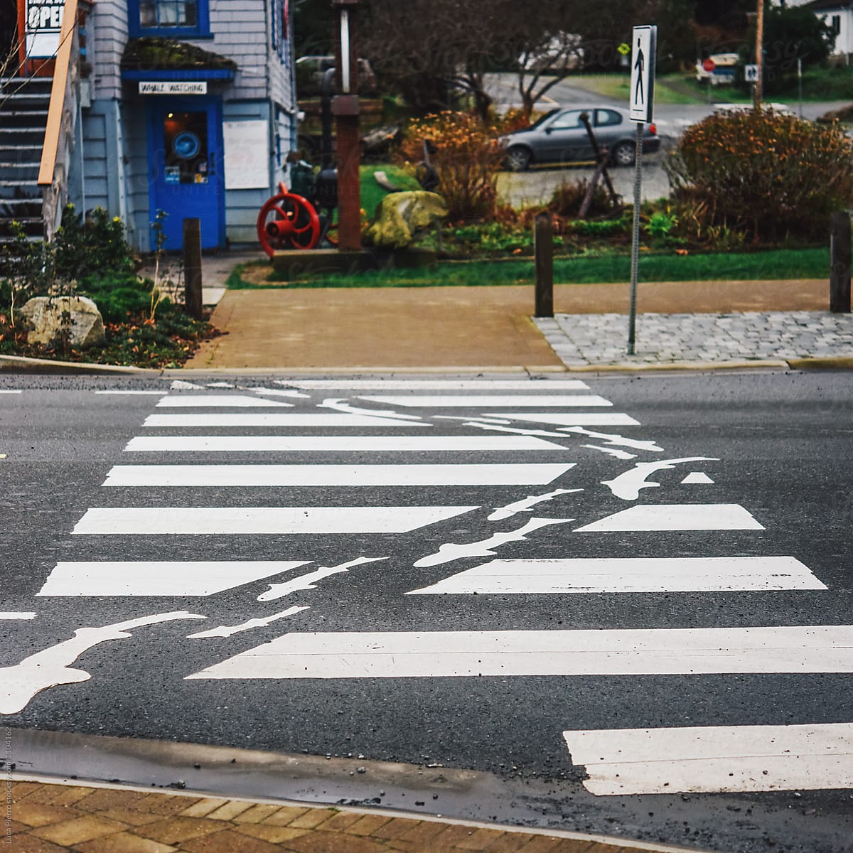 Creative zebra crossing in Tofino