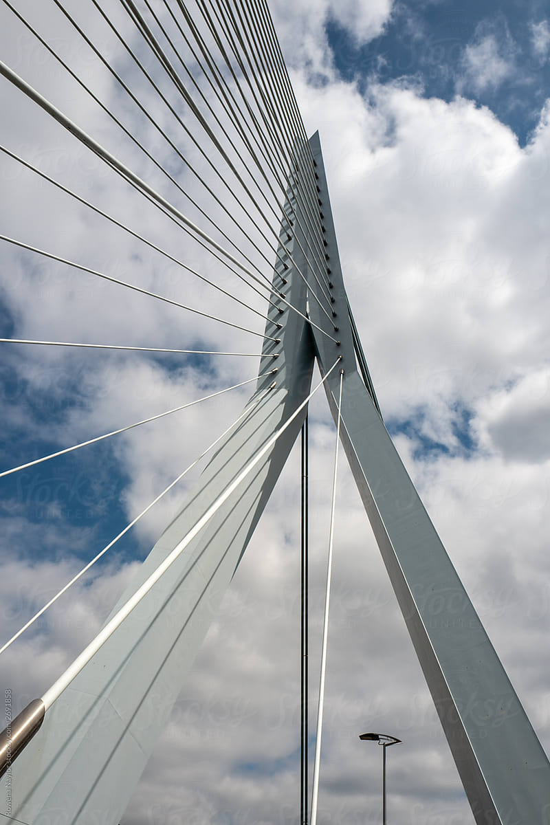 Cabling structure of Eramus Bridge in Rotterdam, Netherlands
