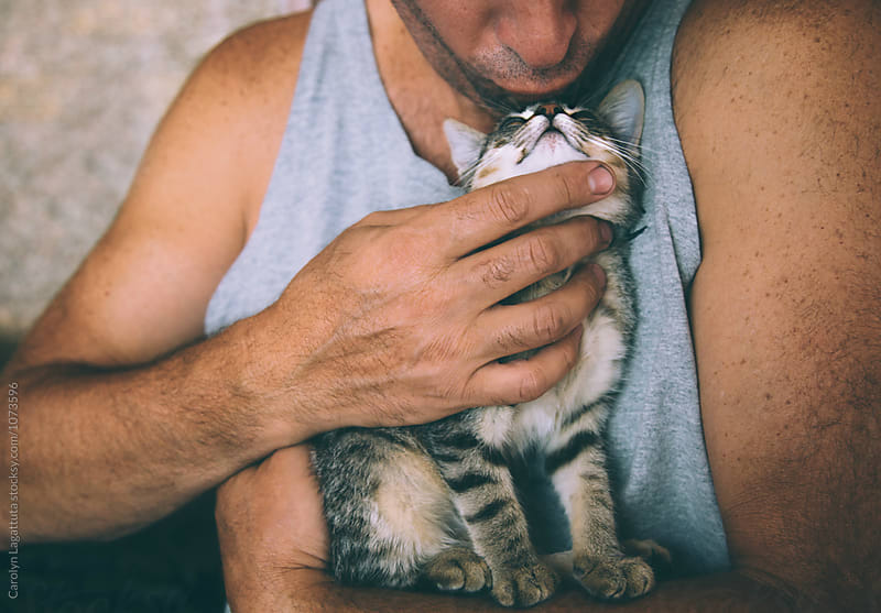 Masculine man kissing a tabby kitten