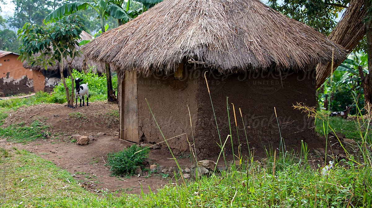 A poor mud and grass hut in a small village, Africa