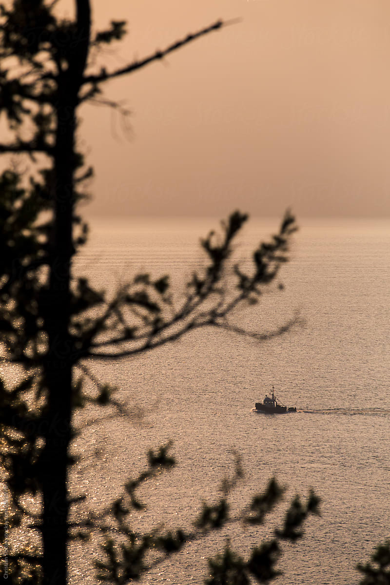 A tugboat at sunset