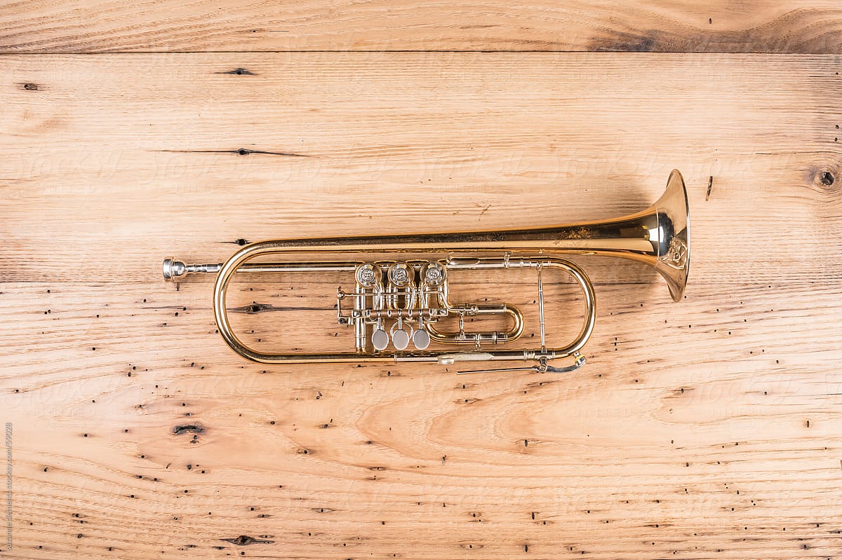 Vintage Trumpet Musical Horn