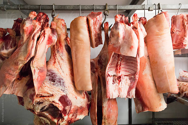 Joints of meat maturing on hooks in a butcher\'s chiller