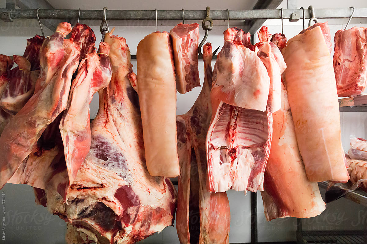 Joint Of Meat On Butcher's Hook Scale by Stocksy Contributor Kirsty Begg  - Stocksy