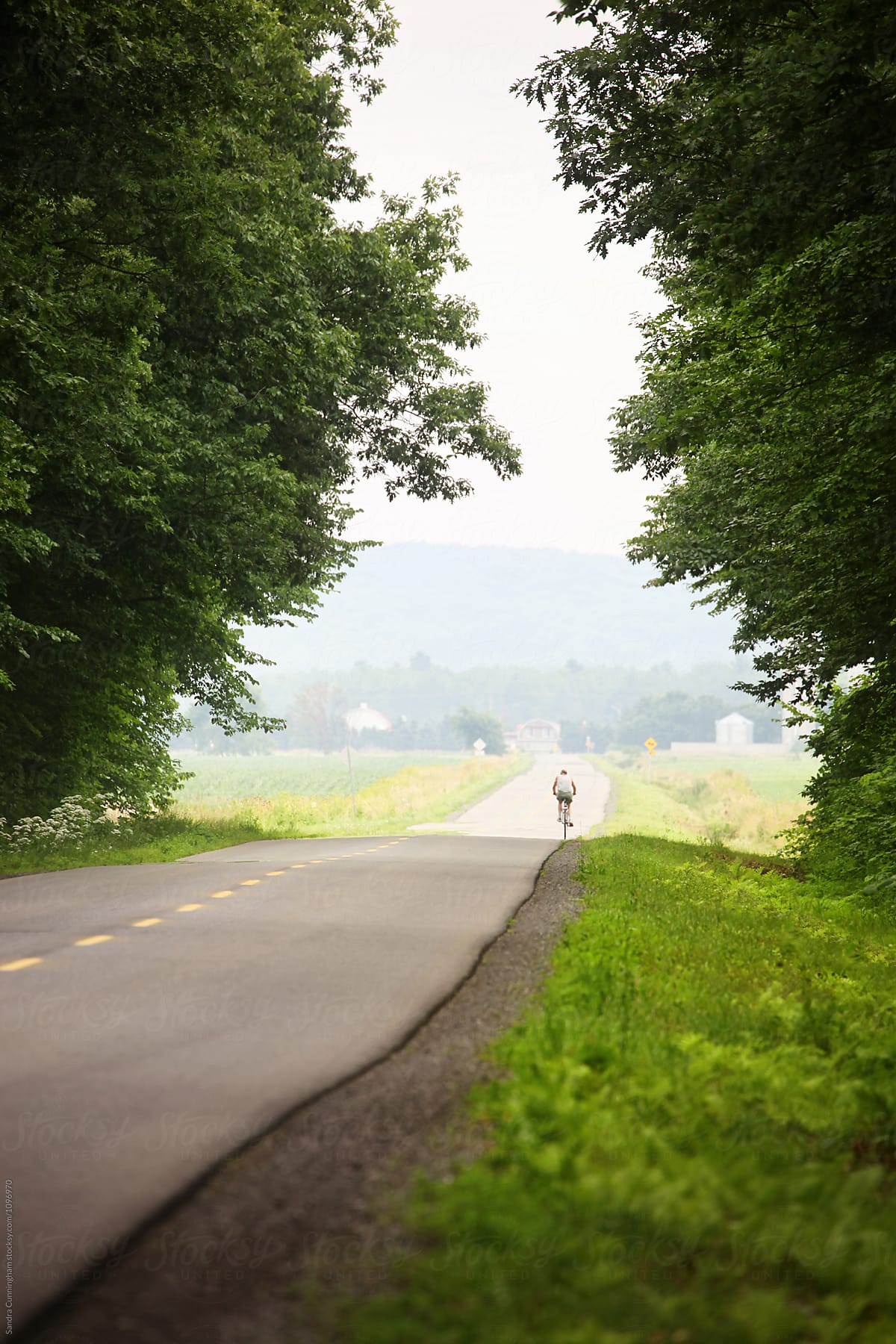 Rural country road with man cycling