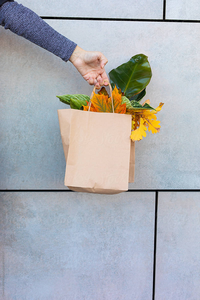 bag with flowerpot and yellow leaves