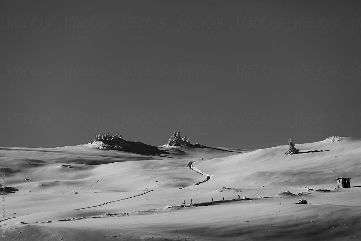 Winter Scenery In Black And White