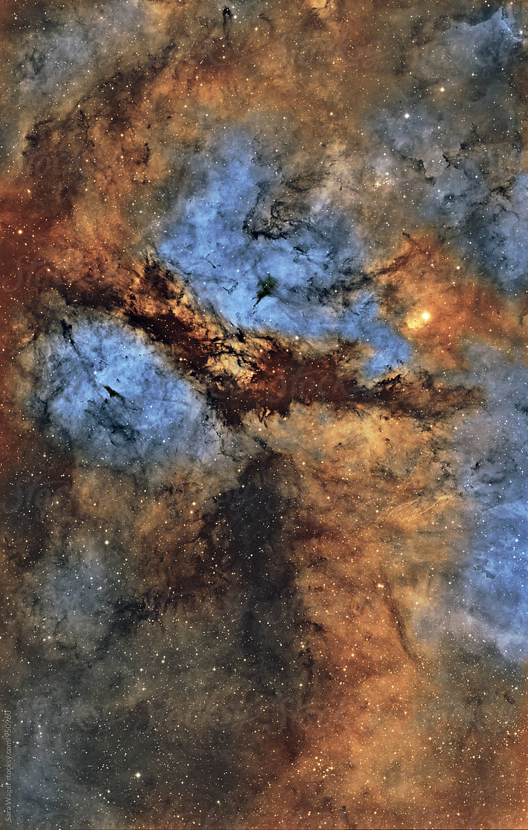 IC1318 the Butterfly nebula
