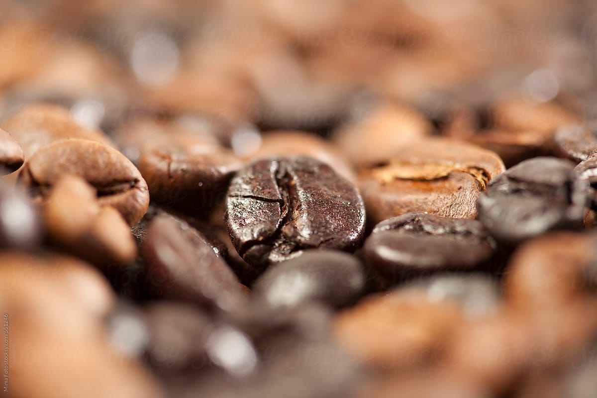 Focus on coffee bean in extreme macro