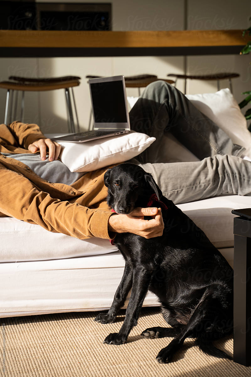 Man and dog watching movie on laptop at home