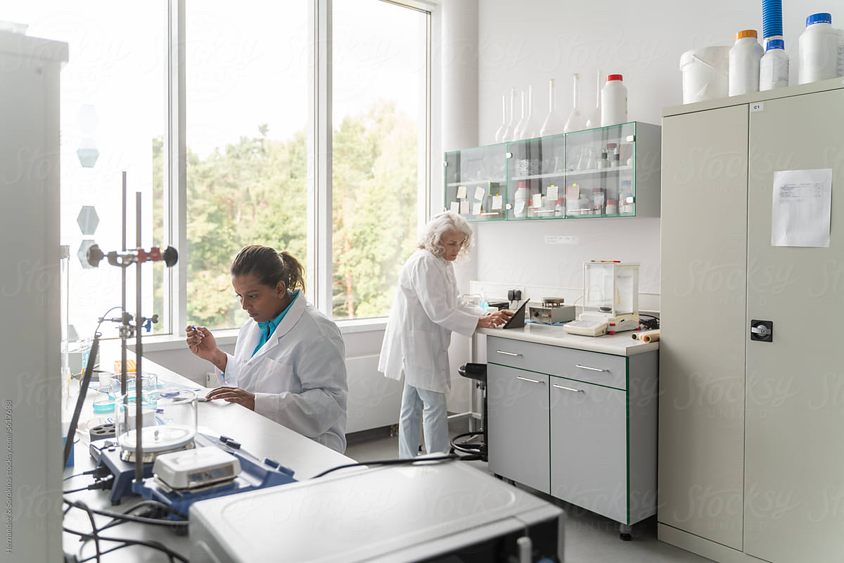 Researchers Working In Modern Bright Laboratory
