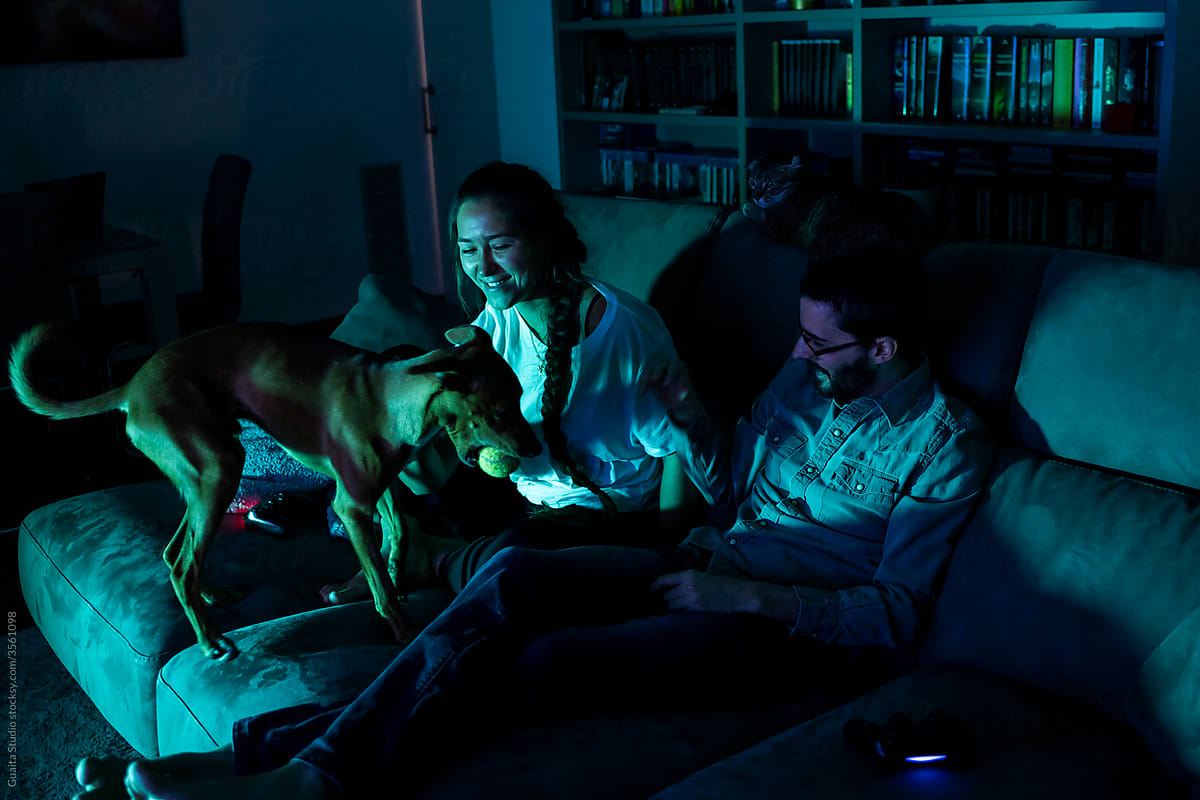 Happy couple playing videogames at night with dog