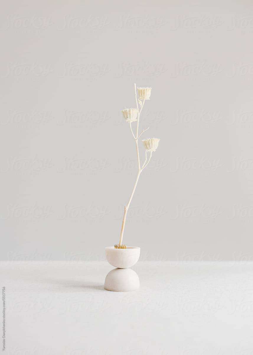 Beautiful handmade white vase with dry plant.