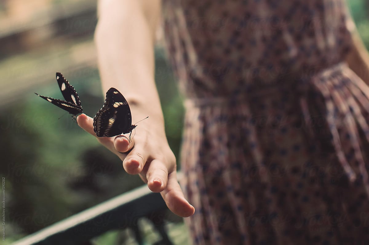 Butterflies On Woman\'s Hand