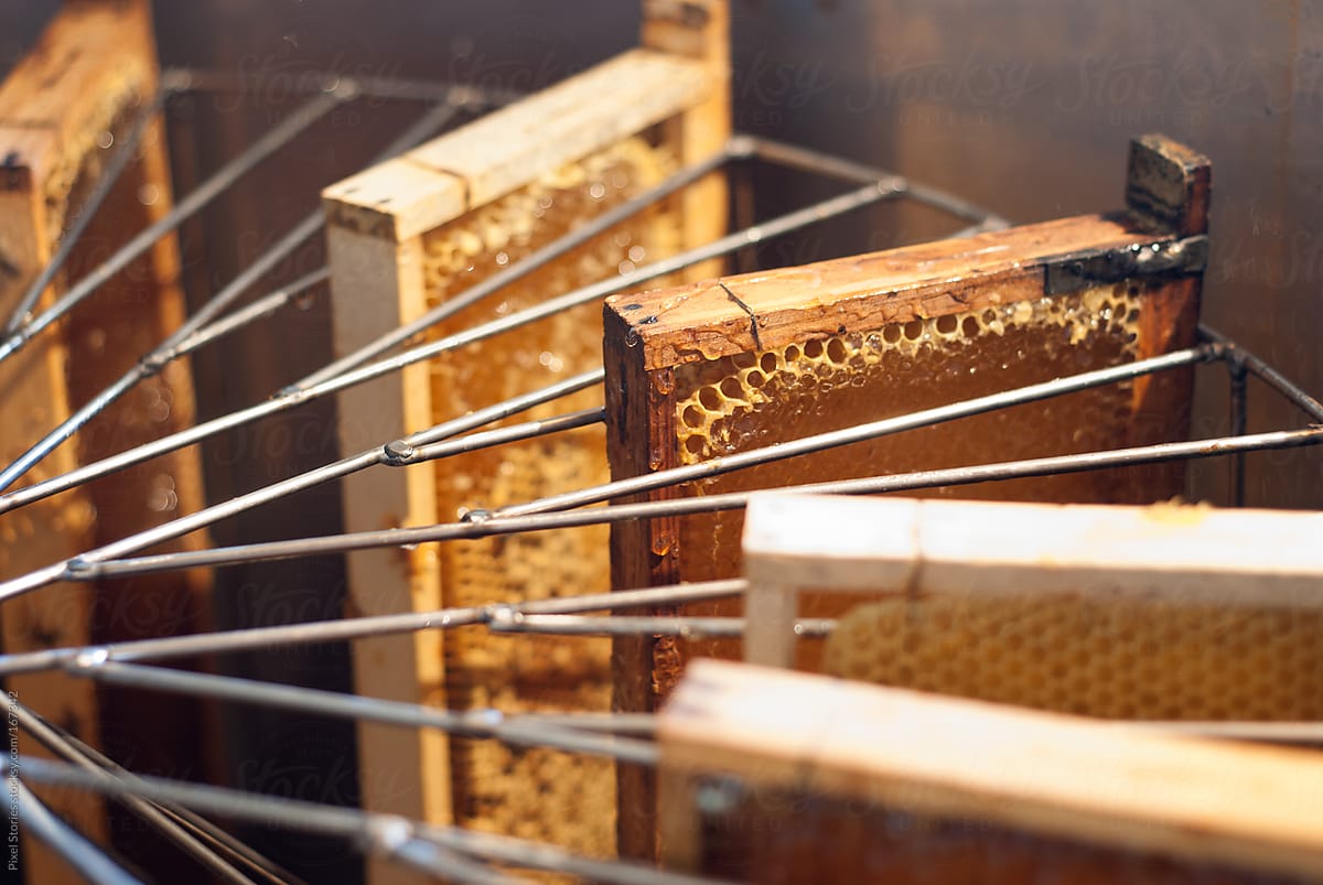 Loaded honey extractor